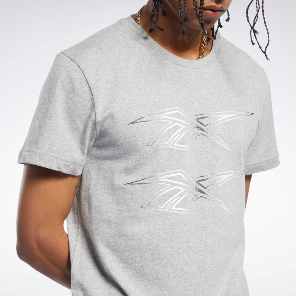 Reebok Classics Grafická Tee Šedé | UCMST7690