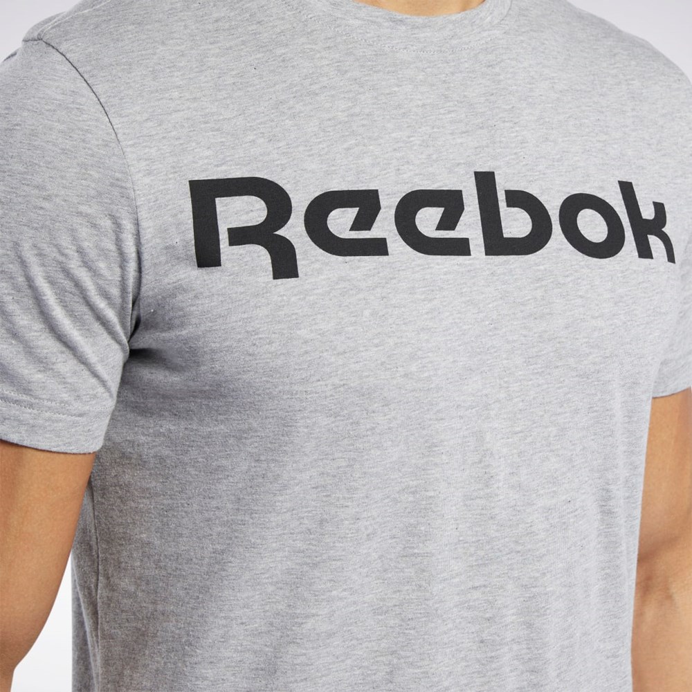 Reebok Grafická Series Linear Logo Tee Šedé | NAKDI8692