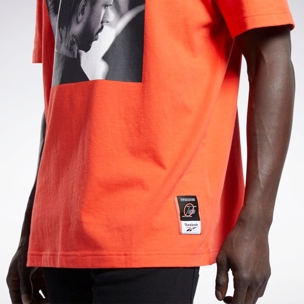 Reebok Iverson Basketball I3 Blue Print Krátké Sleeve T-Shirt Červené | TQPJH9283