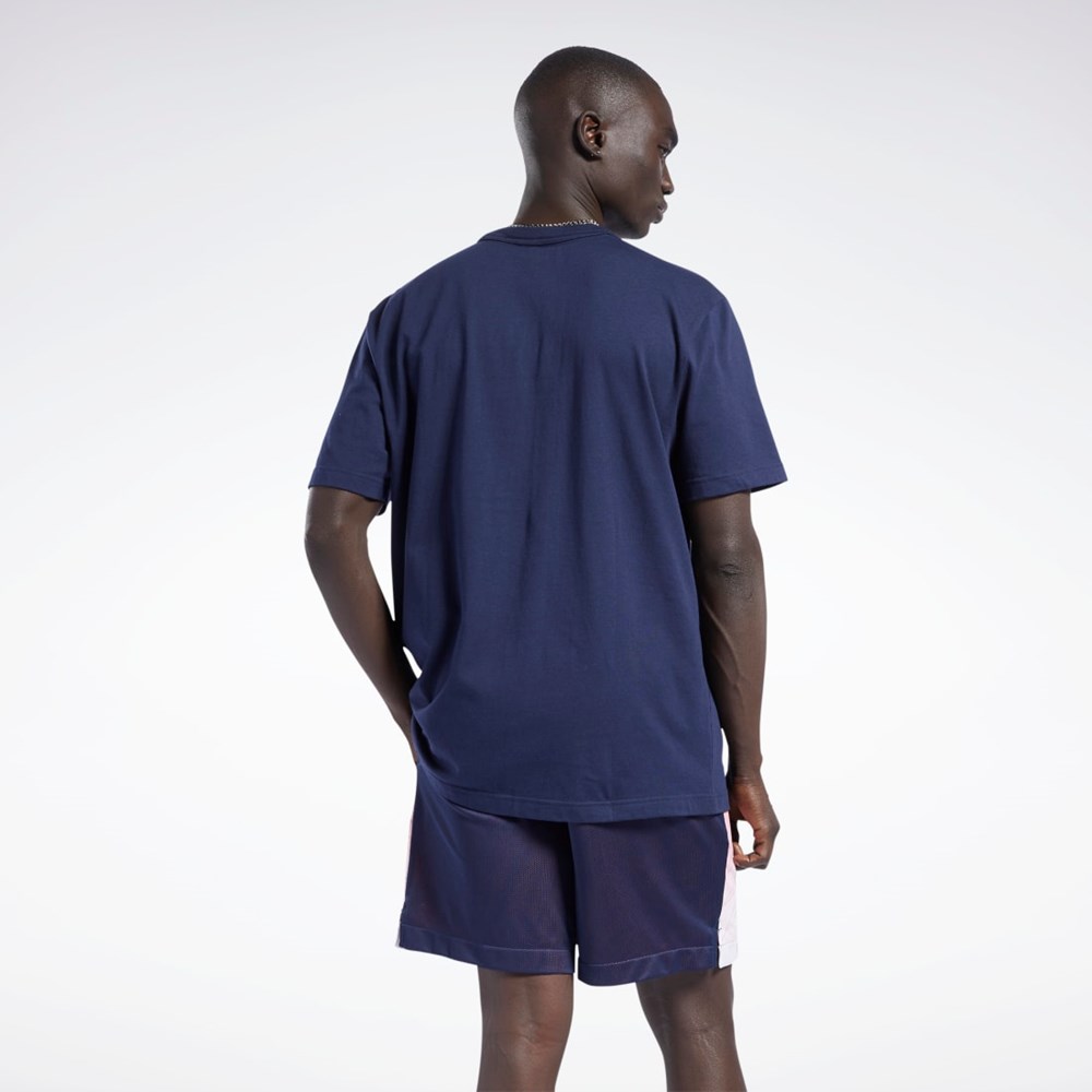 Reebok Iverson Basketball I3 Blue Print Krátké Sleeve T-Shirt Tmavě Blankyt | XYKSE5218