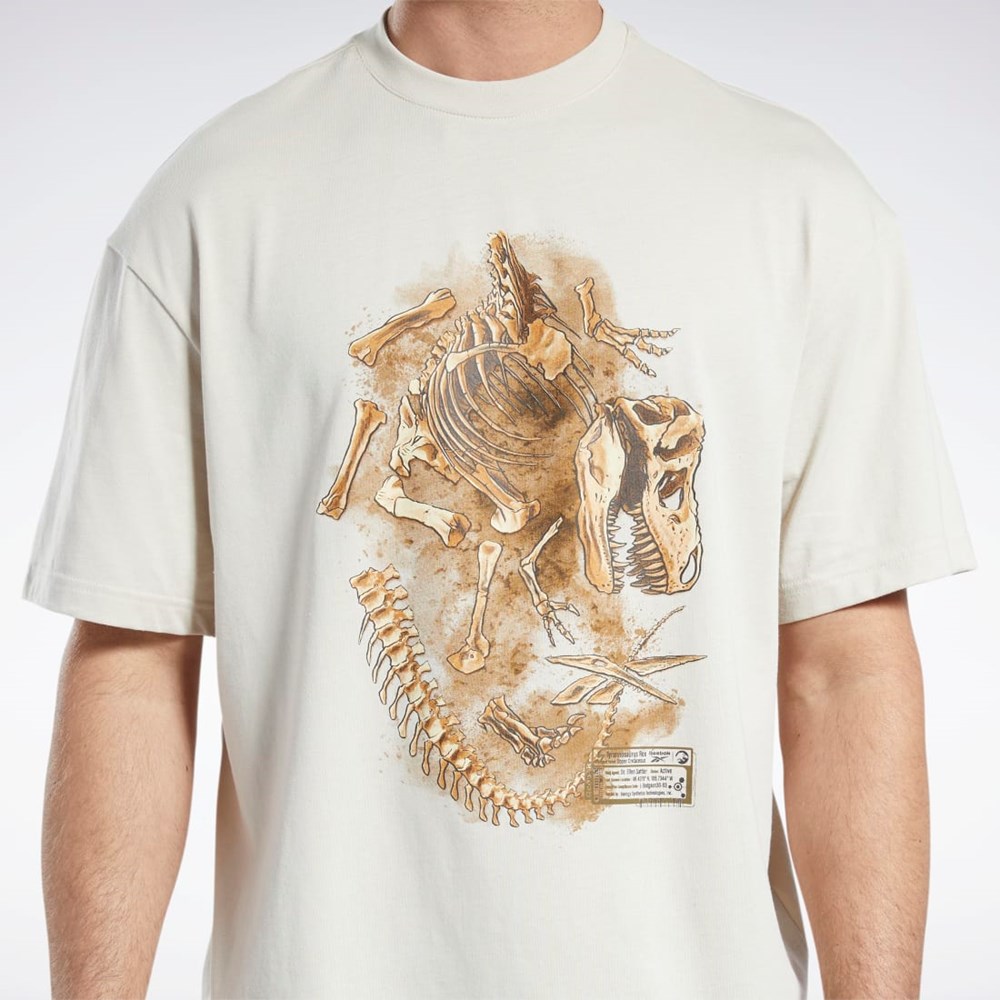 Reebok Jurassic World Fossil T-Shirt Stucco | MEOAL8753