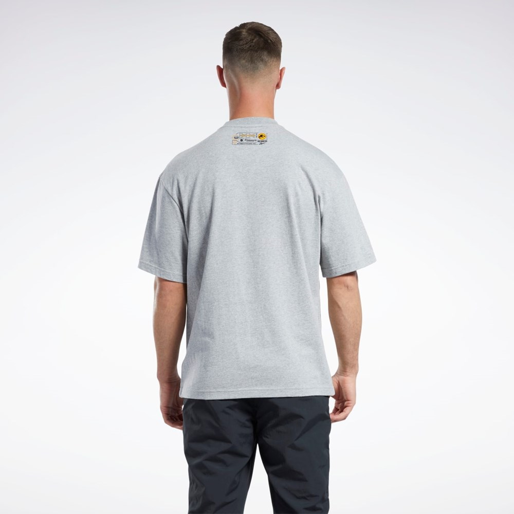 Reebok Jurassic World T-Shirt Šedé | FYLAR2745
