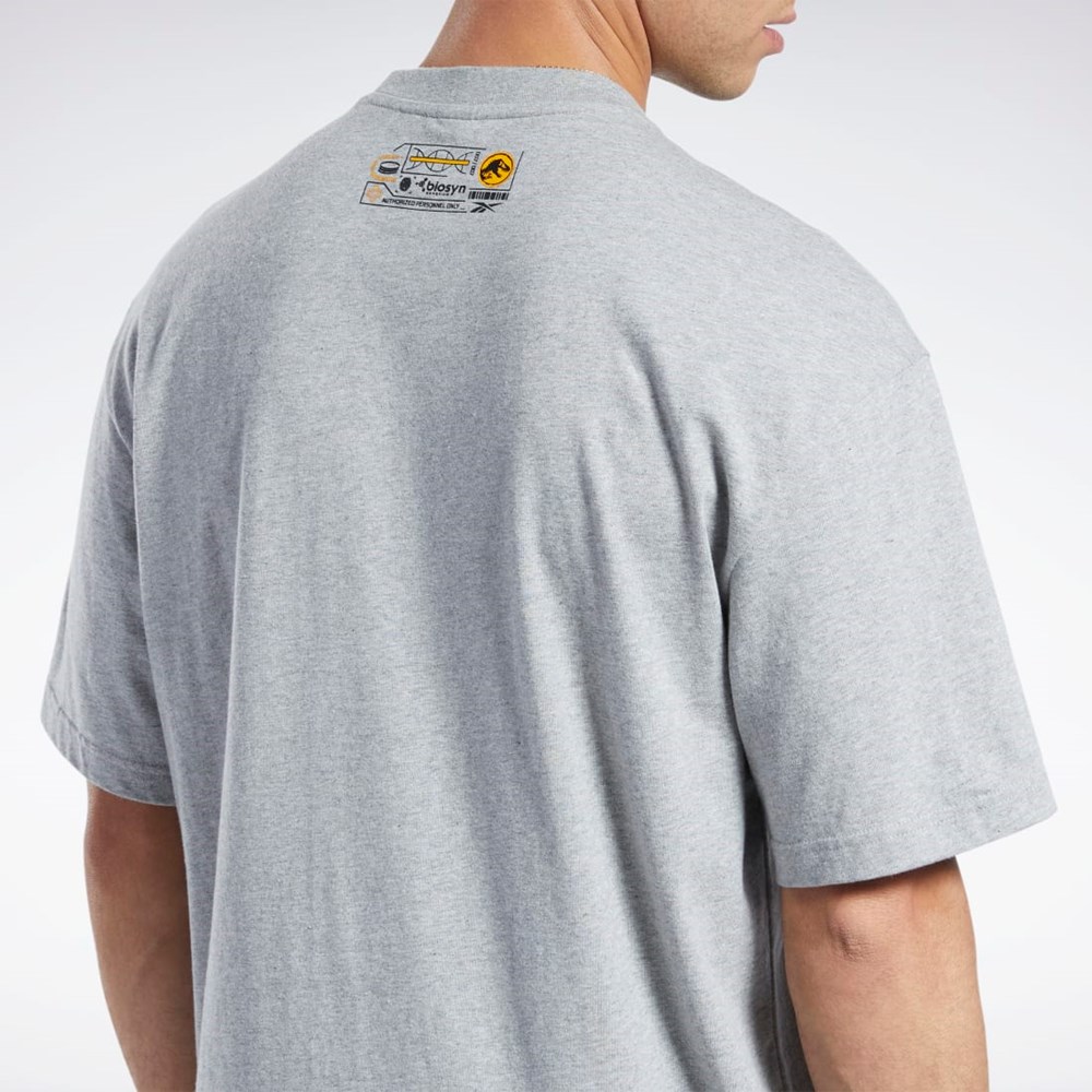 Reebok Jurassic World T-Shirt Šedé | FYLAR2745