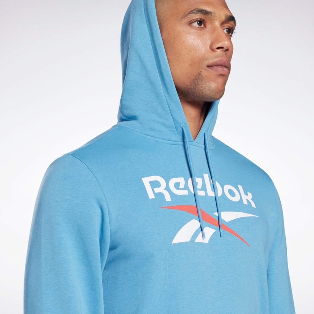 Reebok Reebok Identity Big Logo Hoodie Blankyt | QTWVY6203