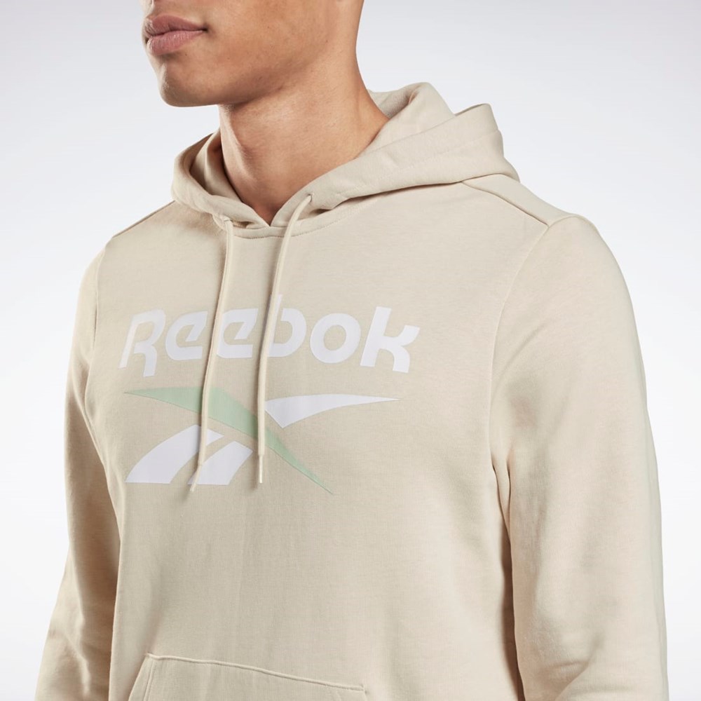 Reebok Reebok Identity Big Logo Hoodie Stucco | TZSAO1648