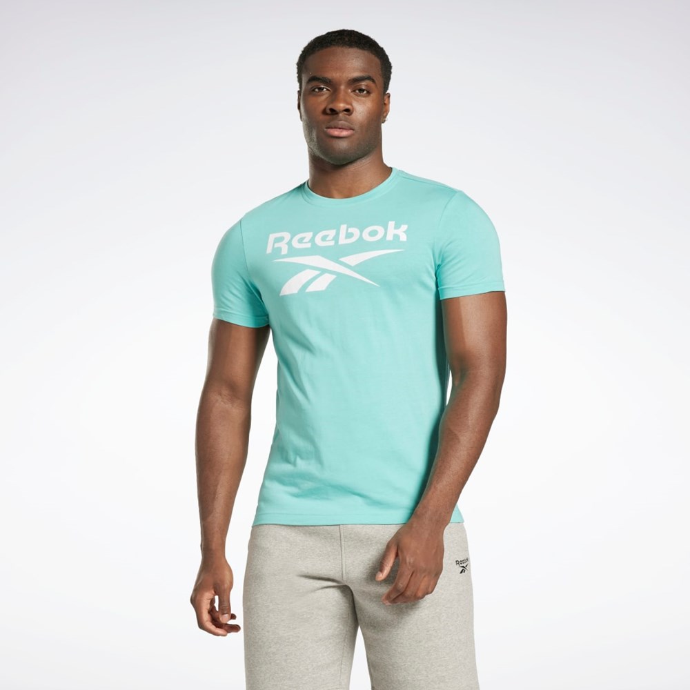 Reebok Reebok Identity Big Logo T-Shirt Semi Classic Teal | CUVRT7569