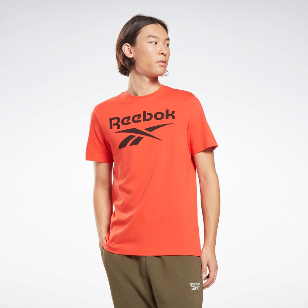 Reebok Reebok Identity Big Logo T-Shirt Červené | PUCAD7250