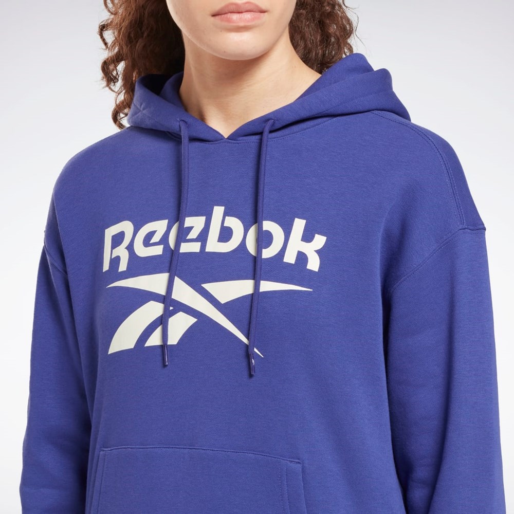 Reebok Reebok Identity Logo Fleece Pullover Hoodie Fialové | BRVTD1683