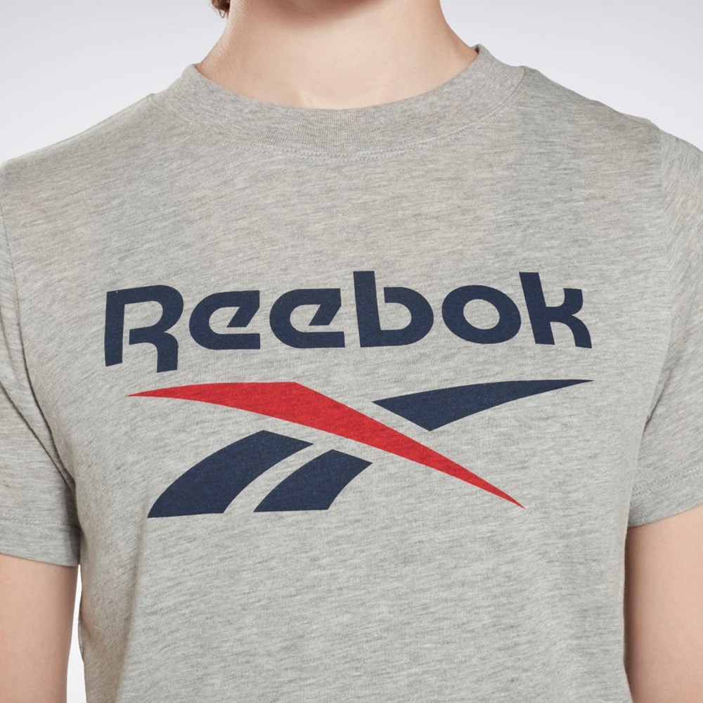 Reebok Reebok Identity Logo T-Shirt Šedé | LSRPO3275