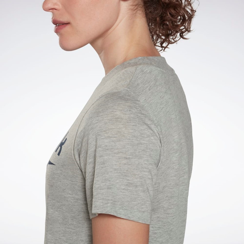 Reebok Reebok Identity Logo T-Shirt Šedé | LSRPO3275