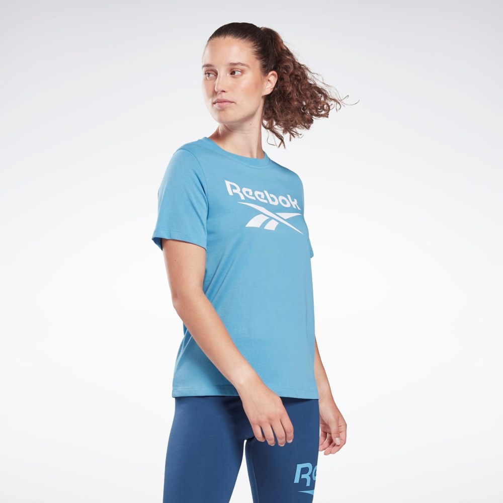 Reebok Reebok Identity T-Shirt Blankyt | WMIZH7915