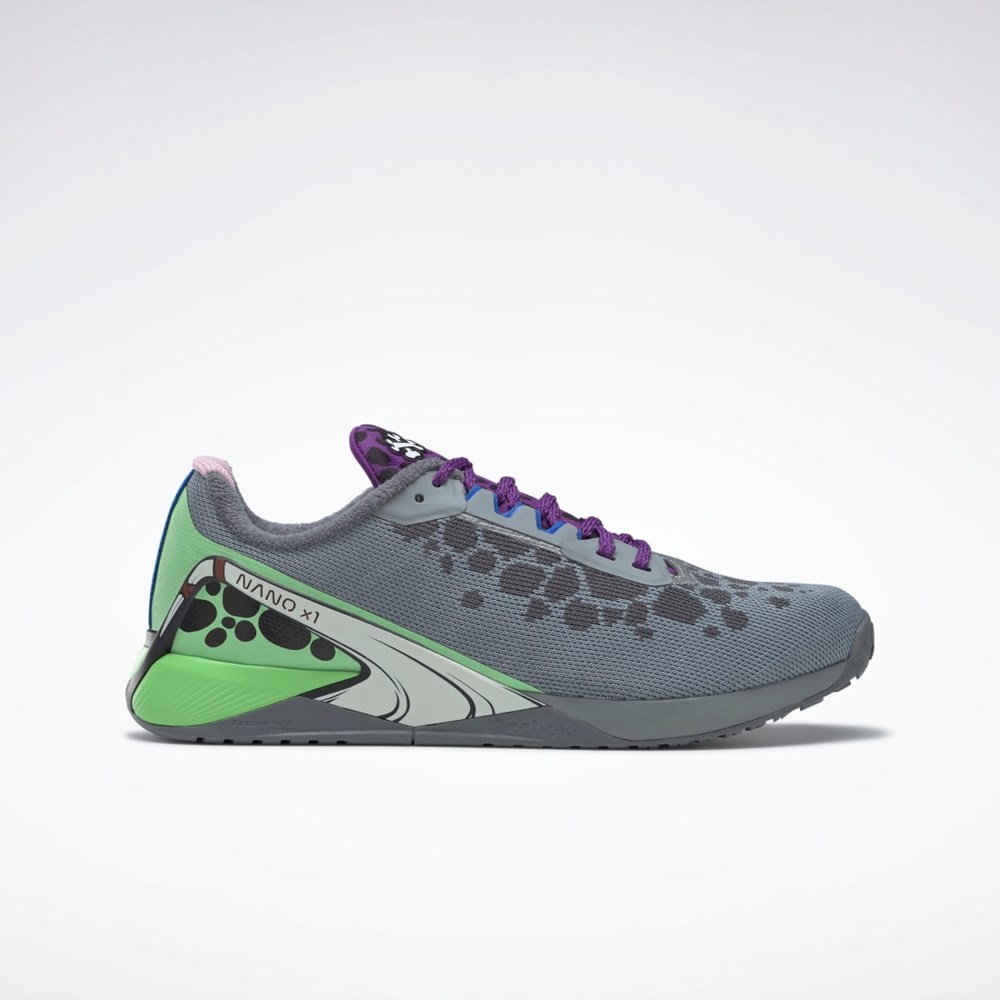 Reebok THE FLINTSTONES Nano X1 Tréninková Shoes Šedé Fialové Mátově Zelená | SEACZ1372