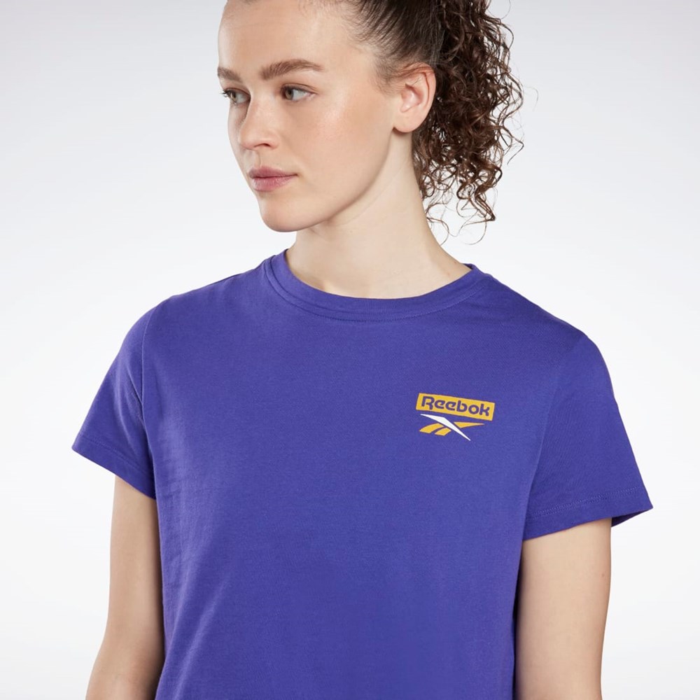 Reebok Tréninková Essentials Grafická T-Shirt Fialové | AYHEC6580