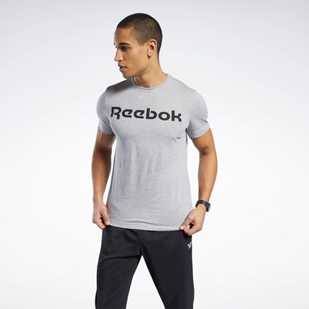 Reebok Grafická Series Linear Logo Tee Šedé | NAKDI8692