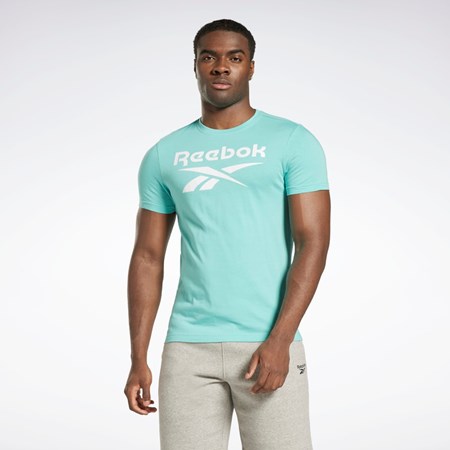 Reebok Reebok Identity Big Logo T-Shirt Semi Classic Teal | CUVRT7569