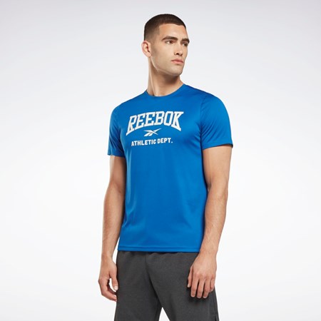 Reebok Workout Ready Grafická T-Shirt Blankyt | UAVSR5308